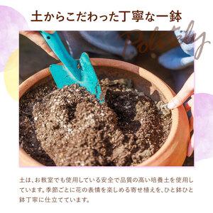 ふるさと納税 【12ヶ月定期便】フォーシーズン...の詳細画像4