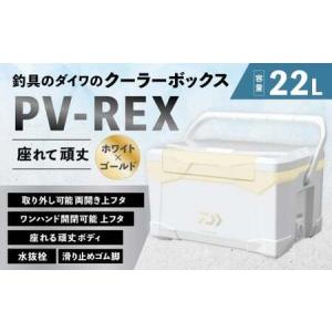 ふるさと納税 釣具のダイワのクーラーボックス PV-REX ZSS2200 （ 容量：22リットル ） クーラーボックス ボックス ダイワ アウトドア レジャー .. 滋賀県湖南市
