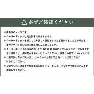 ふるさと納税 釣具のダイワのクーラーボックス ...の詳細画像3