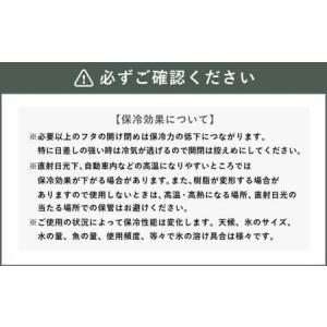 ふるさと納税 釣具のダイワのクーラーボックス ...の詳細画像4