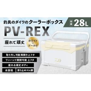 ふるさと納税 釣具のダイワのクーラーボックス PV-REX ZSS2800 （ 容量：28リットル ） クーラーボックス ボックス ダイワ アウトドア レジャー .. 滋賀県湖南市