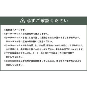 ふるさと納税 釣具のダイワのクーラーボックス ...の詳細画像3