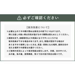 ふるさと納税 釣具のダイワのクーラーボックス ...の詳細画像4
