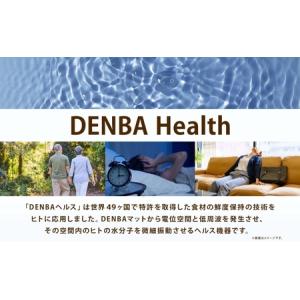 ふるさと納税 DENBA Health Sta...の詳細画像1