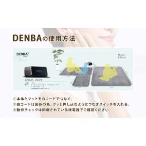 ふるさと納税 DENBA Health Sta...の詳細画像2