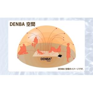 ふるさと納税 DENBA Health Sta...の詳細画像3