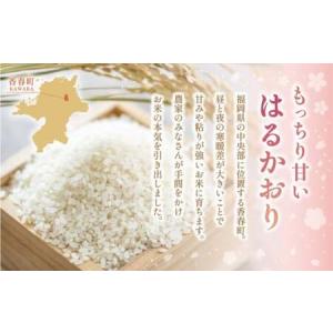 ふるさと納税 【1ヶ月毎2回定期便】 はるかお...の詳細画像2