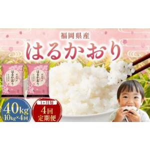 ふるさと納税 【1ヶ月毎4回定期便】 はるかおり...の商品画像
