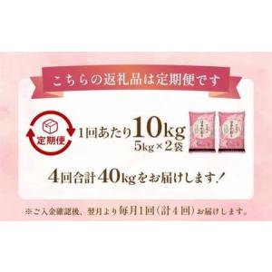ふるさと納税 【1ヶ月毎4回定期便】 はるかお...の詳細画像1