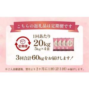 ふるさと納税 【2ヶ月毎3回定期便】 はるかお...の詳細画像1
