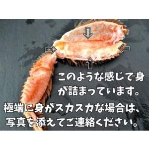 ふるさと納税 ボイル毛ガニ 350g 1尾(茹...の詳細画像1