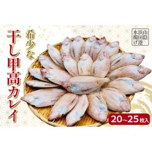 ふるさと納税 【先行予約】山陰浜田港水揚げ 希少...の商品画像