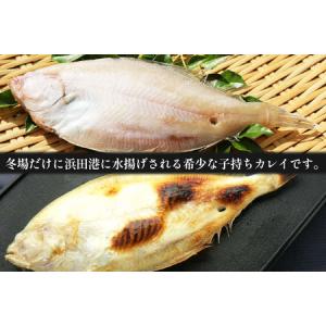 ふるさと納税 【先行予約】山陰浜田港水揚げ 希...の詳細画像1