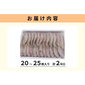 ふるさと納税 【先行予約】山陰浜田港水揚げ 希...の詳細画像2