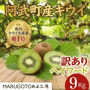 ふるさと納税 阿武町産 キウイ 訳ありヘイワード（9kg） 山口県阿武町