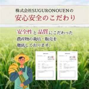 ふるさと納税 令和7年産 特別栽培米にじのきら...の詳細画像2