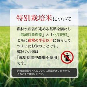 ふるさと納税 令和7年産 特別栽培米にじのきら...の詳細画像3