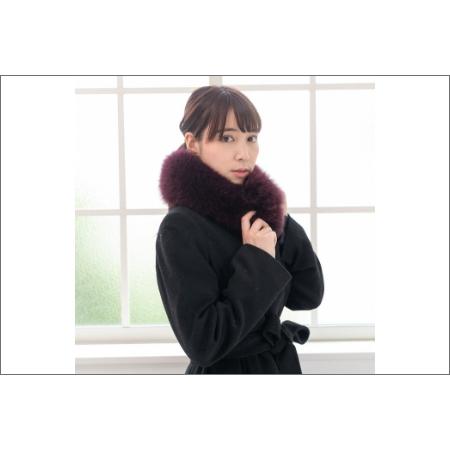 ふるさと納税 【0411-2】フィンランド産SAGAフォックスチョーカー ワイン 和歌山県御坊市