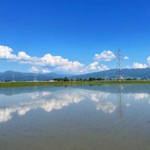 ふるさと納税 令和7年産 会津喜多方産 にじの...の詳細画像3