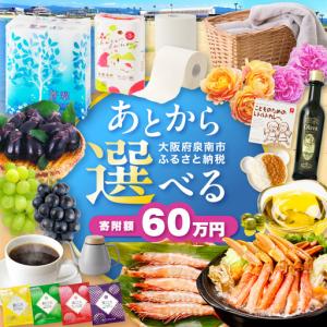 ふるさと納税 あとからセレクト【ふるさとギフト】60万円【119A-007】 大阪府泉南市
