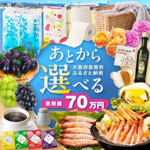 ふるさと納税 あとからセレクト【ふるさとギフト】...の商品画像