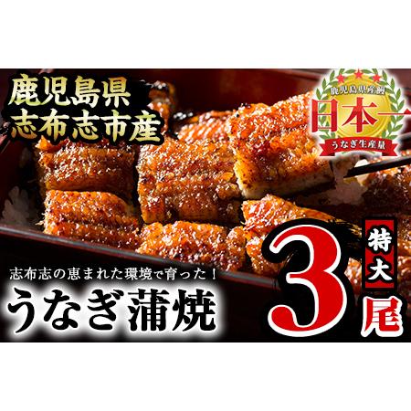 ふるさと納税 うなぎの大楠＜特大＞3尾セット計510g(170g×3) うなぎ 鰻 ウナギ 3尾 国...