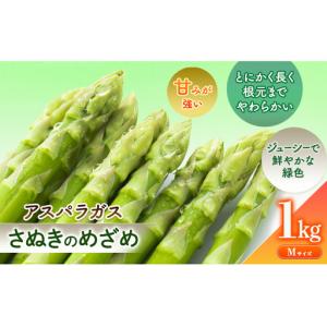 ふるさと納税 砂川さんの特選 アスパラ 1kg Mサイズ【さぬきのめざめ】 アスパラガス 冷蔵便 野菜 甘い 美味しい グリーンアスパラ 1万円以.. 香川県東かがわ市