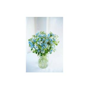 ふるさと納税 【定期便3回】ブルースター花束初回花瓶付き / ブルースター お花 フラワー 青い花 高知県産 定期便 希少品種 サムシングブルー .. 高知県高知市