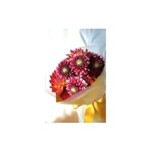 ふるさと納税 【3回定期便】ダリア花束初回花瓶...の詳細画像1