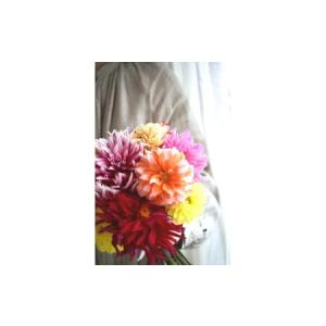 ふるさと納税 【3回定期便】ダリア花束初回花瓶...の詳細画像2