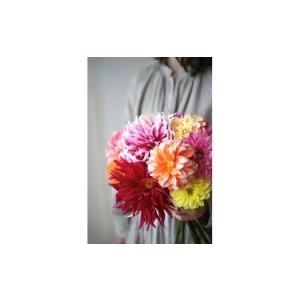 ふるさと納税 【3回定期便】ダリア花束初回花瓶...の詳細画像3