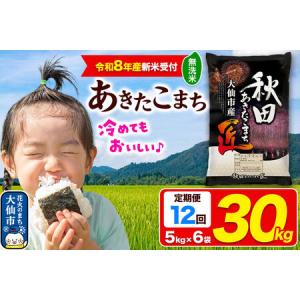 ふるさと納税 ＜令和8年産 新米受付＞《定期便12ヶ月》米 あきたこまち【無洗米】30kg（5kg×6袋）秋田県大仙市産 精米 令和8年産 秋田県大仙市