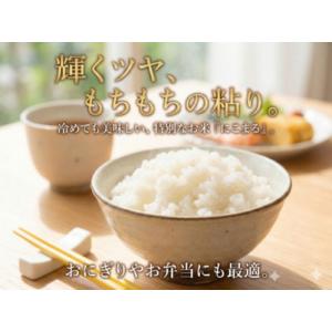 ふるさと納税 【期間限定寄附額】最高評価「特A...の詳細画像1