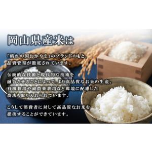 ふるさと納税 【期間限定寄附額】最高評価「特A...の詳細画像3