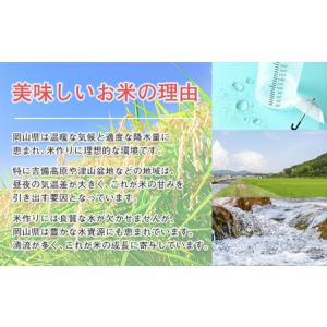ふるさと納税 【期間限定寄附額】最高評価「特A...の詳細画像4