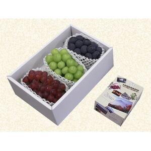 ふるさと納税 3色詰合せ(3房)/80【配送不可地域：離島】【1300130】 山梨県山梨市