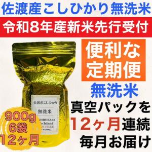 ふるさと納税 【先行予約 コシヒカリ】 無洗米 真空パック 定期便 900g 6袋 12回 令和8年 | 新潟県 佐渡市 新潟県佐渡市