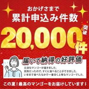 ふるさと納税 2026年発送 訳あり 鹿児島県...の詳細画像1