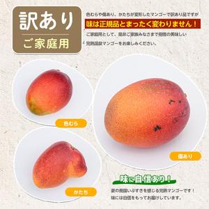 ふるさと納税 2026年発送 訳あり 鹿児島県...の詳細画像4