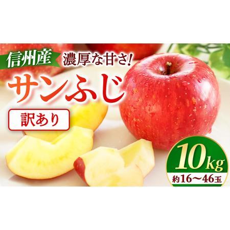 ふるさと納税 【先行予約】※訳あり※ りんご　サンふじ　約10kg　＜2027年1月上旬〜2月上旬発...