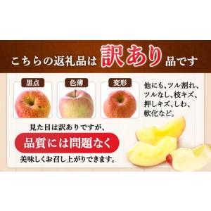 ふるさと納税 【先行予約】※訳あり※ りんご ...の詳細画像1