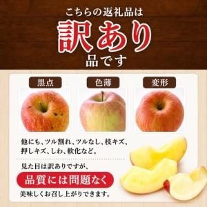 ふるさと納税 【先行予約】※訳あり※ りんご ...の詳細画像1