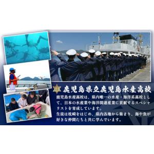 ふるさと納税 【毎月定期便】水産高校生考案 枕...の詳細画像4