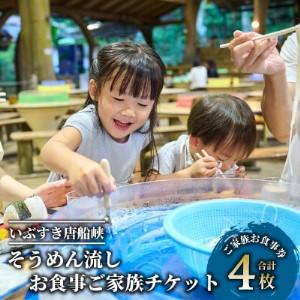 ふるさと納税 いぶすき唐船峡 そうめん流しお食事...の商品画像