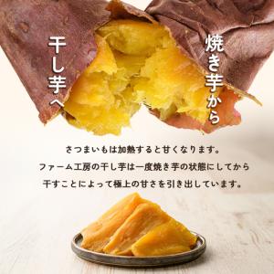 ふるさと納税 a685-C 焼きいもから作った...の詳細画像1