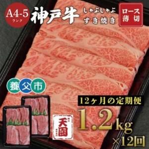 ふるさと納税 【毎月定期便】【ふるさと納税】神戸牛 霜降り 肩ロース しゃぶしゃぶすき焼き1200g×全12回【配送不可地域：離島】【4083899.. 兵庫県養父市