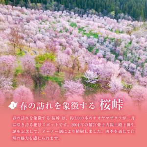 ふるさと納税 【返礼品無し】福島県北塩原村への...の詳細画像4
