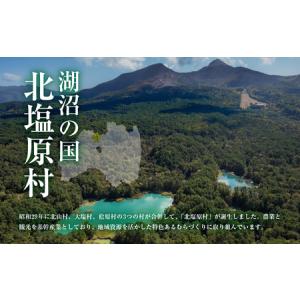 ふるさと納税 【返礼品無し】福島県北塩原村への...の詳細画像1