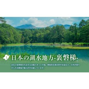 ふるさと納税 【返礼品無し】福島県北塩原村への...の詳細画像3