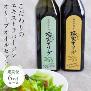 ふるさと納税 【定期便6ヶ月コース】こだわりのエキストラバージンオリーブオイルセット【SM3-2】 和歌山県和歌山市